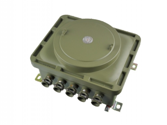 Hot sale Flameproof Junction Box - BJX sries Explosion proof connection box – Feice detail pictures